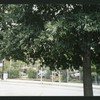 Block 097: River Terrace between Murray Street and Park Place (east side)