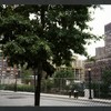 Block 097: River Terrace between Murray Street and Park Place (east side)