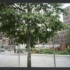 Block 097: River Terrace between Murray Street and Park Place (east side)