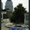 Block 098: Warren Street between River Terrace and North End Avenue (south side)