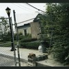 Block 098: North End Avenue between Warren Street and Park Place (west side)