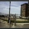 Block 098: North End Avenue between Warren Street and Park Place (west side)