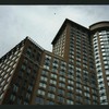 Block 099: Warren Street between North End Avenue and River Terrace (north side)