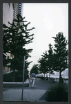 Block 101: West Street between River Terrace (Hudson River Esplanade) and Chambers Street (west side)