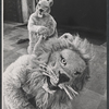 Jane Farnol and Ted Graeber in the American Shakespeare production of Androcles and the Lion