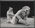 Jane Farnol and Ted Graeber in the American Shakespeare Festival stage production Androcles and the Lion