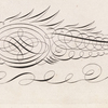 Ornamental fish
