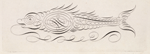 Ornamental fish