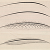 Feathers