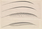 Feathers