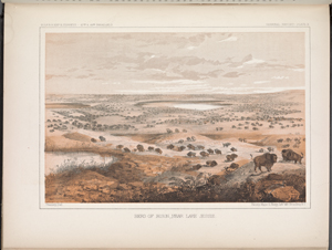 Reports of explorations and surveys,