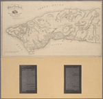 Map of the City of New York, from the Battery to 80th Street, showing the original topography of Manhattan Island [cartographic material] / prepared to accompany the testimory of Egbert L. Viele, Esq. before the Sanitary committee of the Senate.