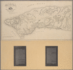Map of the City of New York, from the Battery to 80th Street, showing the original topography of Manhattan Island [cartographic material] / prepared to accompany the testimory of Egbert L. Viele, Esq. before the Sanitary committee of the Senate.