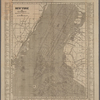 New York and vicinity : accompanying Horn's U.S. railroad gazette, New York.