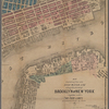 Map shewing the old high water line along the shores of Brooklyn & New York together with the pier lines as established by law [cartographic material] / R. Graves, City Surveyor.