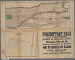 Peremptory sale at auction : James M. Miller, auct'r, on Monday, March 15, at the Exchange salesroom, no. 111 Broadway, at 12 m., will sell 48 parcels of land containing about 181 lots, estate of Lewis G. Morris.