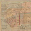 Map of the County of New York : showing the school districts and the locality of the public schools, 1878