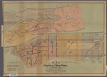 Map of the County of New York : showing the school districts and the locality of the public schools, 1878