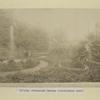 Tiflis: Botanical garden (cultivated part).