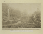 Tiflis: Botanical garden (cultivated part).