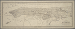Map of New York City / drawn to accompany the 4th annual report of the Health Department, by William Pistor, Eng.