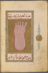 The foot of the Prophet