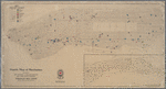Health map of Manhattan