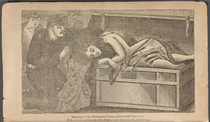 The great "trunk mystery" of New York City; murder of the beautiful Miss Alice A. Bowlsby, of Paterson, N.J. ...
