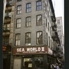 Block 113: Warren Street between Church Street and West Broadway (south side)
