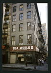 Block 113: Warren Street between Church Street and West Broadway (south side)
