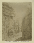 Tiflis: Ravine on the southern side of the Botanical Garden