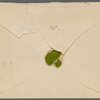 Hawthorne, Maria Louisa, ALS to. Oct. [1848?].