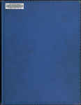 New Netherland families