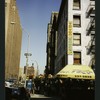 Block 117: Duane Street between West Broadway and Church Street (north side)
