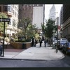 Block 120: Trimble Street between Duane Street and Thomas Street (east side)