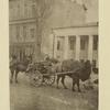 Tiflis: Types. A camel cart