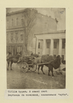 Tiflis: Types. A camel cart
