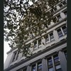 Block 130: Fulton Street between Church Street and Broadway (south side)