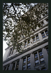 Block 130: Fulton Street between Church Street and Broadway (south side)