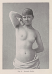 Normale Taille
