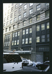 Block 134: Reade Street between Centre Street and Elk Street (north side)