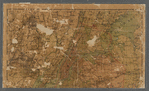 The Bridgman's new map of the City of New York