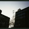 Block 137: Park Row - Lafayette Street between Worth Street and Duane Street (west side)
