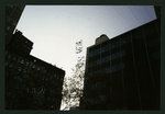 Block 137: Park Row - Lafayette Street between Worth Street and Duane Street (west side)