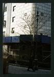 Block 138: Baxter Street between Worth Street and Pearl Street (west side)