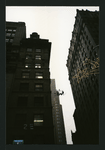 Block 141: Broadway between Maiden Lane and John Street (east side)