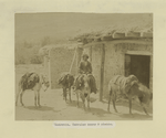 Kakhetia. Georgian house and stable
