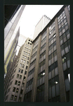 Block 145: William Street between Fulton Street and John Street (west side)