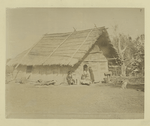 Kutais. Country house