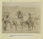 [A Borchalinski Tatar selling green herbs from the country]